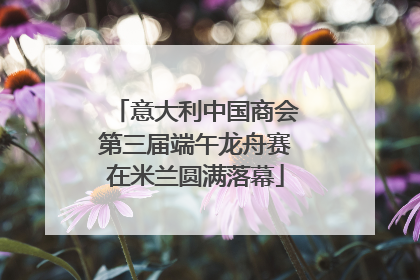 意大利中国商会第三届端午龙舟赛在米兰圆满落幕