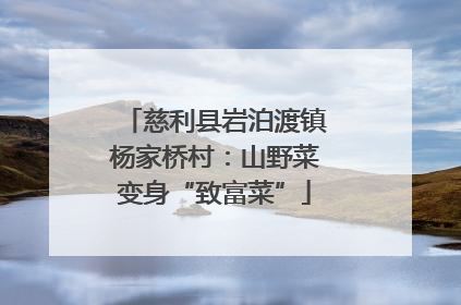 慈利县岩泊渡镇杨家桥村：山野菜变身“致富菜”