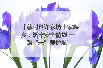 慈利县许家坊土家族乡：筑牢安全防线 一路“未”爱护航