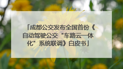 成都公交发布全国首份《自动驾驶公交“车路云一体化”系统联调》白皮书