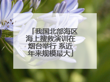 我国北部海区海上搜救演训在烟台举行 系近年来规模最大