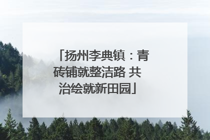 扬州李典镇：青砖铺就整洁路 共治绘就新田园