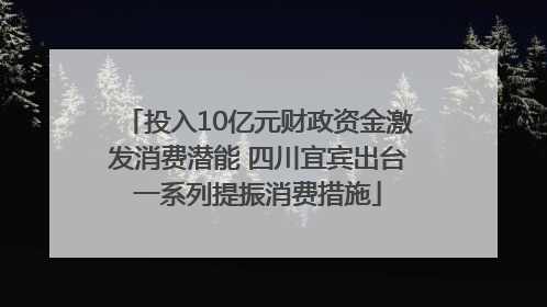 投入10亿元财政资金激发消费潜能 四川宜宾出台一系列提振消费措施