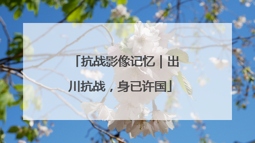 抗战影像记忆｜出川抗战，身已许国