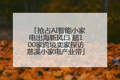 抢占AI智能小家电出海新风口 超100家跨境卖家探访慈溪小家电产业带
