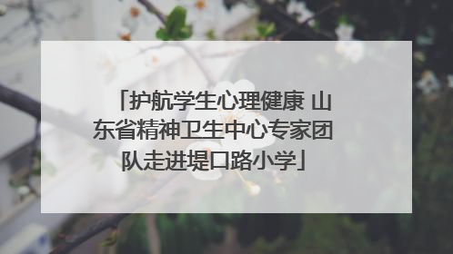 护航学生心理健康 山东省精神卫生中心专家团队走进堤口路小学