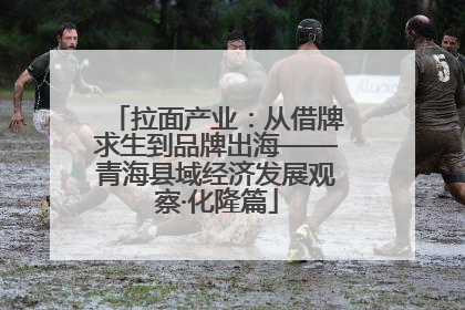拉面产业：从借牌求生到品牌出海——青海县域经济发展观察·化隆篇