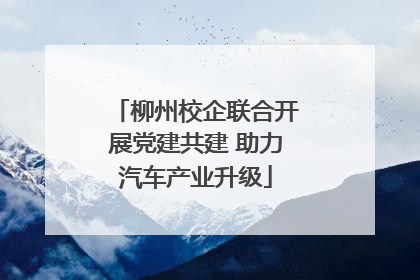 柳州校企联合开展党建共建 助力汽车产业升级