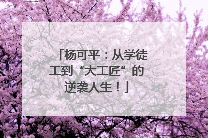 杨可平：从学徒工到“大工匠”的逆袭人生！