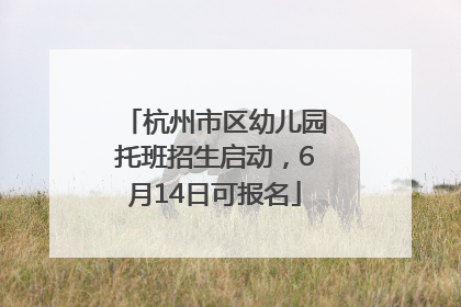 杭州市区幼儿园托班招生启动，6月14日可报名