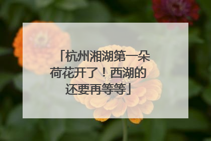 杭州湘湖第一朵荷花开了！西湖的还要再等等