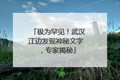 极为罕见！武汉江边发现神秘文字，专家揭秘