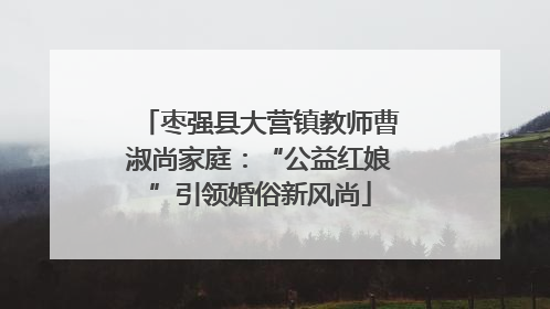 枣强县大营镇教师曹淑尚家庭：“公益红娘”引领婚俗新风尚