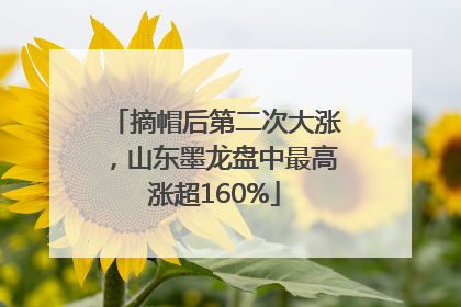 摘帽后第二次大涨，山东墨龙盘中最高涨超160%