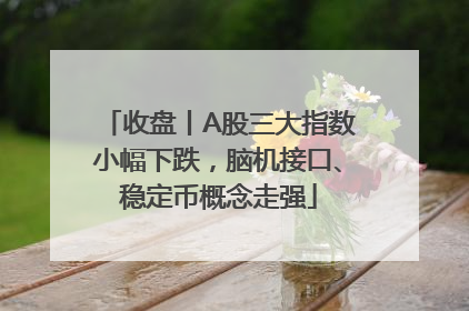 收盘丨A股三大指数小幅下跌，脑机接口、稳定币概念走强
