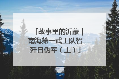 故事里的沂蒙｜南海第一武工队智歼日伪军（上）