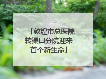 敦煌市总医院转渠口分院迎来首个新生命