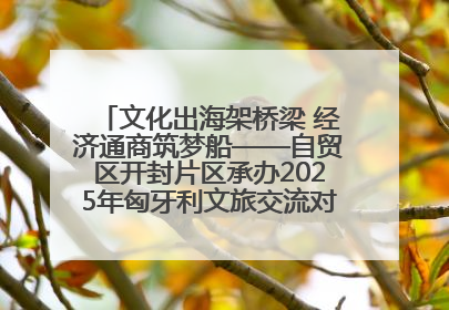文化出海架桥梁 经济通商筑梦船——自贸区开封片区承办2025年匈牙利文旅交流对接活动专场