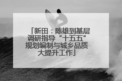 新田：陈雄到基层调研指导“十五五”规划编制与城乡品质大提升工作