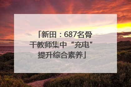 新田：687名骨干教师集中“充电” 提升综合素养