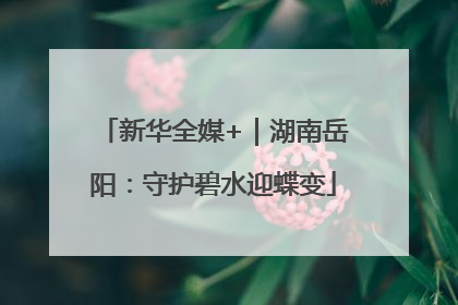 新华全媒+｜湖南岳阳：守护碧水迎蝶变
