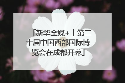 新华全媒+丨第二十届中国西部国际博览会在成都开幕