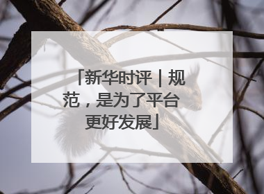 新华时评｜规范，是为了平台更好发展