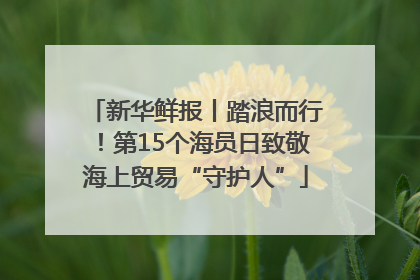 新华鲜报丨踏浪而行！第15个海员日致敬海上贸易“守护人”