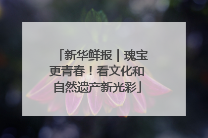 新华鲜报｜瑰宝更青春！看文化和自然遗产新光彩