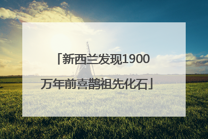 新西兰发现1900万年前喜鹊祖先化石