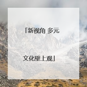 新视角 多元文化壁上观