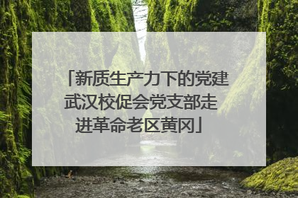 新质生产力下的党建 武汉校促会党支部走进革命老区黄冈