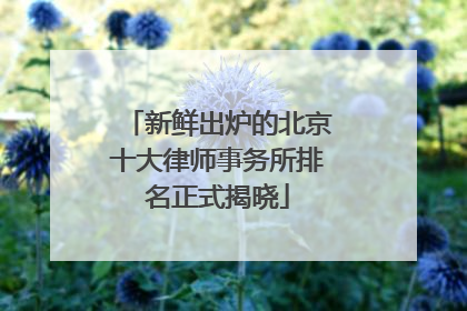 新鲜出炉的北京十大律师事务所排名正式揭晓