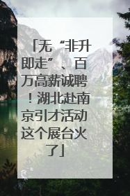 无“非升即走”、百万高薪诚聘！湖北赴南京引才活动这个展台火了