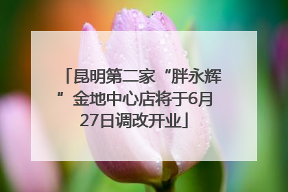 昆明第二家“胖永辉”金地中心店将于6月27日调改开业