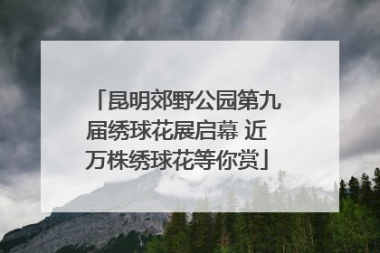 昆明郊野公园第九届绣球花展启幕 近万株绣球花等你赏