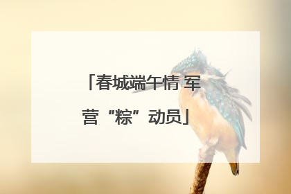 春城端午情 军营“粽”动员
