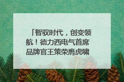 智驭时代，创变领航！德力西电气首席品牌官王策荣膺虎啸奖年度品牌人物