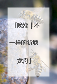 晚潮｜不一样的新塘龙舟