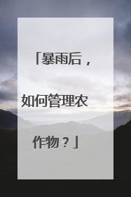 暴雨后，如何管理农作物？