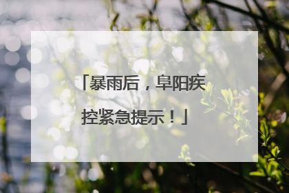暴雨后，阜阳疾控紧急提示！