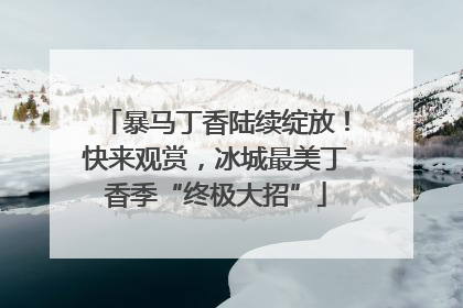暴马丁香陆续绽放！快来观赏，冰城最美丁香季“终极大招”