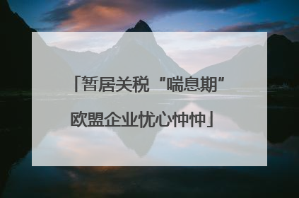 暂居关税“喘息期” 欧盟企业忧心忡忡