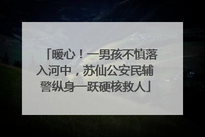 暖心！一男孩不慎落入河中，苏仙公安民辅警纵身一跃硬核救人