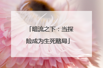 暗流之下：当探险成为生死赌局