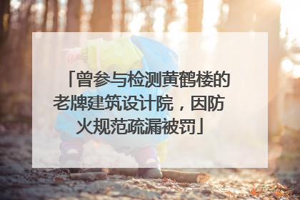 曾参与检测黄鹤楼的老牌建筑设计院，因防火规范疏漏被罚