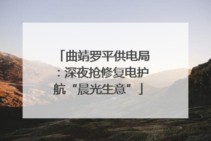 曲靖罗平供电局：深夜抢修复电护航“晨光生意”