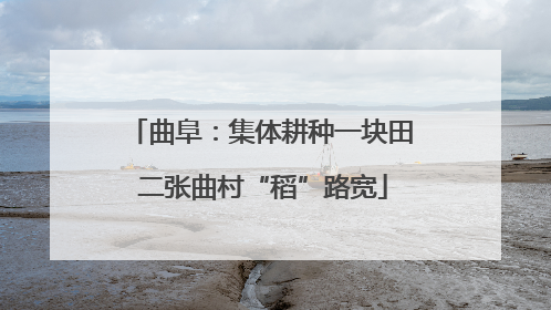 曲阜：集体耕种一块田 二张曲村“稻”路宽
