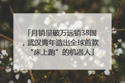 月销量破万远销38国，武汉青年造出全球首款“床上跑”的机器人