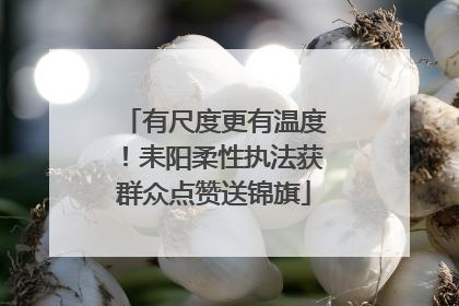 有尺度更有温度！耒阳柔性执法获群众点赞送锦旗